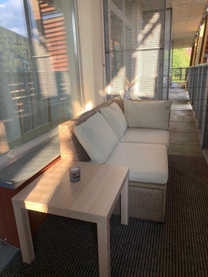 Apartman Certovka Harrachov Eksteriør billede